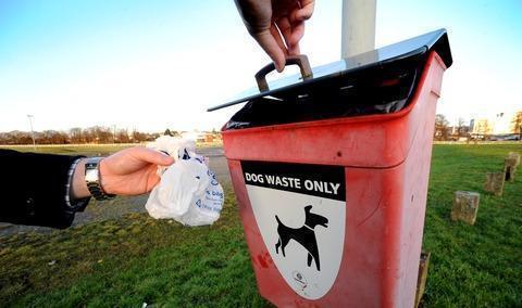 Data Shows Number Of Dog Poo Complaints In Oxfordshire