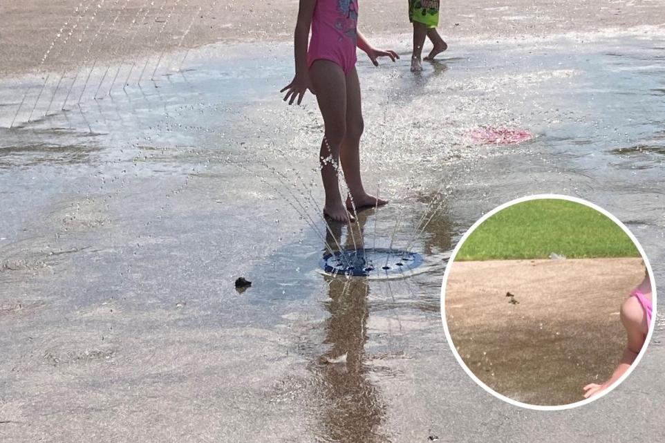 Disgust At Abingdon Splash Park Covered In Bird Poo